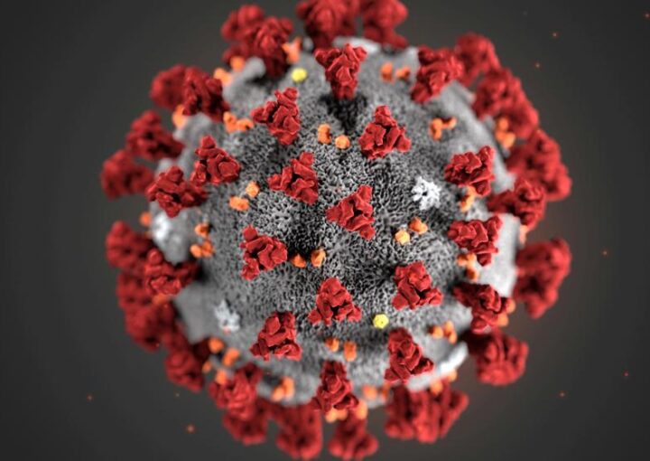 escritor predijo coronavirus años