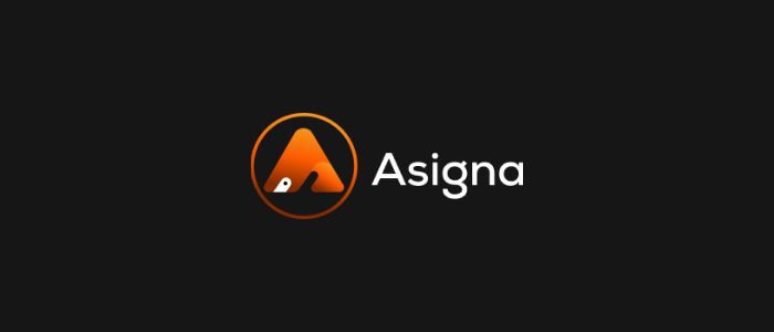 Asigna: Multisig Wallet Audit Report